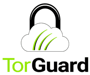 TorGuard logo 1 TorGuard logo 1